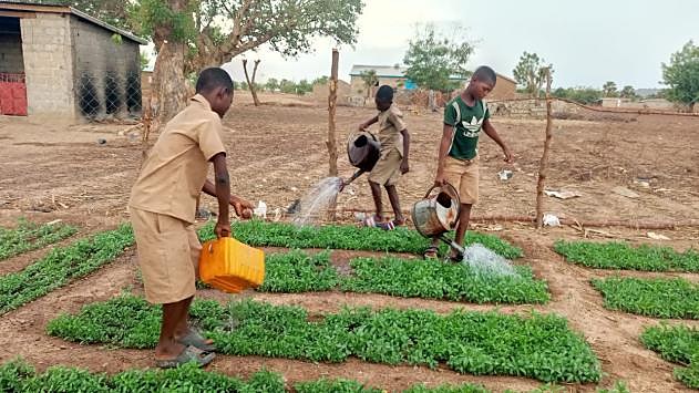 Arrosage du jardin scolaire