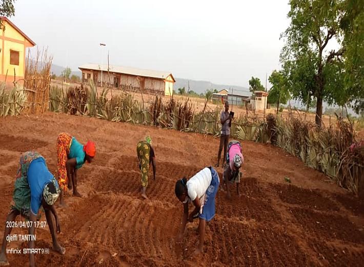 Préparation des planches du jardin scolaire