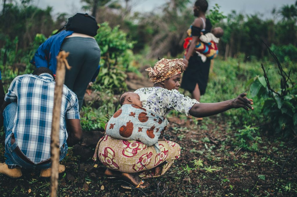 Producteurs au travail dans un champ